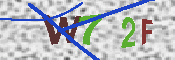 キャプチャ画像