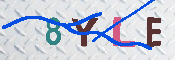 キャプチャ画像