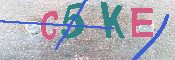 キャプチャ画像