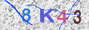 キャプチャ画像