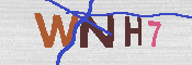 キャプチャ画像