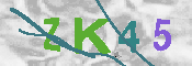 キャプチャ画像