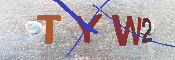 キャプチャ画像