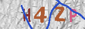 キャプチャ画像