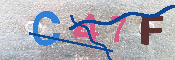 キャプチャ画像