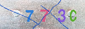 キャプチャ画像