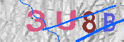キャプチャ画像