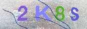 キャプチャ画像