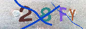 キャプチャ画像