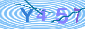 キャプチャ画像