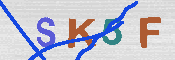 キャプチャ画像