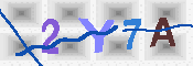 キャプチャ画像