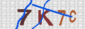 キャプチャ画像