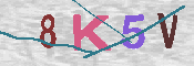 キャプチャ画像