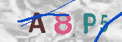 キャプチャ画像