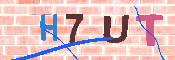 キャプチャ画像