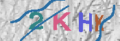 キャプチャ画像