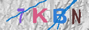 キャプチャ画像