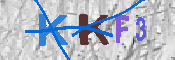 キャプチャ画像