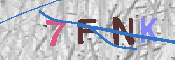 キャプチャ画像