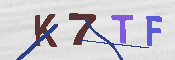 キャプチャ画像