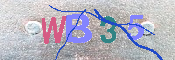 キャプチャ画像