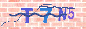 キャプチャ画像
