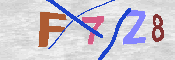 キャプチャ画像