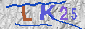 キャプチャ画像