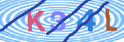 キャプチャ画像