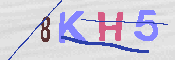 キャプチャ画像