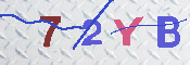 キャプチャ画像