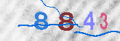 キャプチャ画像