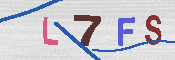 キャプチャ画像