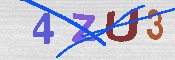 キャプチャ画像