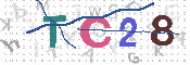 キャプチャ画像