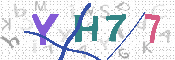 キャプチャ画像