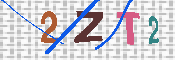 キャプチャ画像