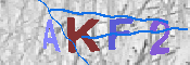 キャプチャ画像
