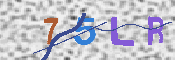 キャプチャ画像
