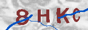 キャプチャ画像