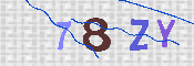 キャプチャ画像