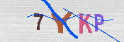 キャプチャ画像