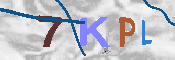 キャプチャ画像