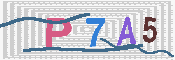 キャプチャ画像