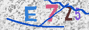 キャプチャ画像
