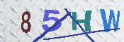 キャプチャ画像