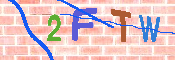 キャプチャ画像