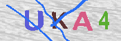 キャプチャ画像