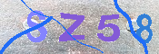 キャプチャ画像